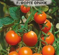 Томат Форте Оранж F1
