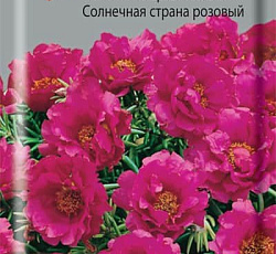 Портулак Крупноцветковый Солнечная страна розовый