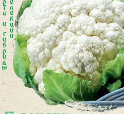 Капуста цветная Уайт Эксел F1