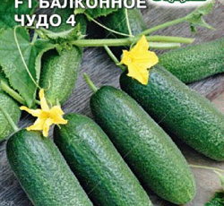 Огурец Балконное чудо 4 F1
