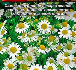 Ромашка аптечная Старый лекарь