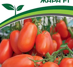 Томат Жара F1