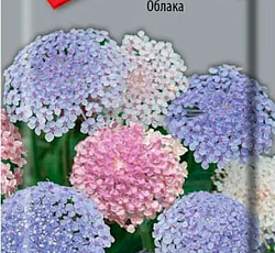 Дидискус Облака