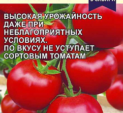 Томат Феня F1