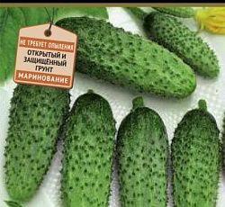 Огурец Портос F1