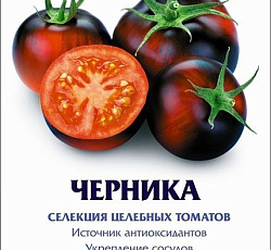 Томат Черника