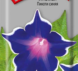 Ипомея Пикоти синяя