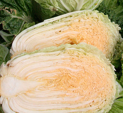 Капуста пекинская Оранж мини F1