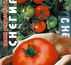 Томат Снегирь