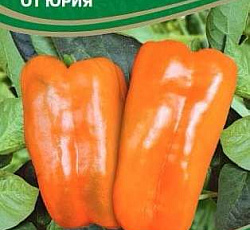 Перец сладкий Оранжевый ламуйо от Юрия F1