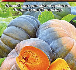 Тыква мускатная Мускатная прованская