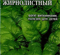 Шпинат Жирнолистный