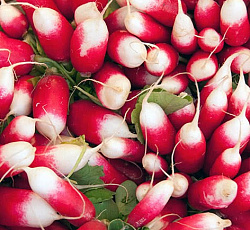 Редис Селянка