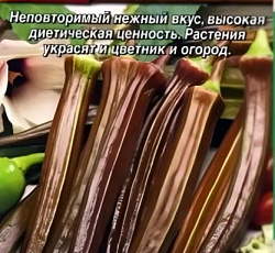 Бамия Бургунди