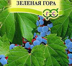 Виноград приречный Зеленая гора