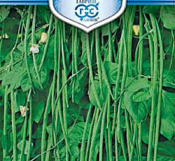 Вигна Каланча