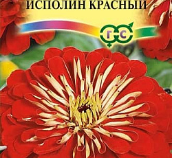 Цинния Исполин Красный