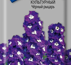 Дельфиниум культурный Черный рыцарь