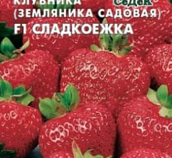 Клубника крупноплодная Сладкоежка F1 (земляника)