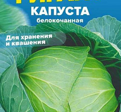 Капуста белокочанная Сибирский гигант