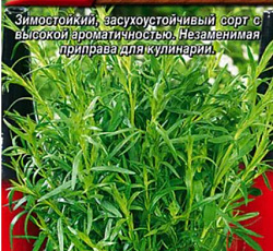 Эстрагон (тархун) Монарх