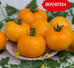 Томат Сюрприз желтый