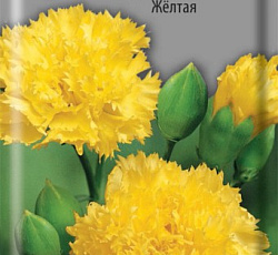 Гвоздика садовая Шабо Желтая