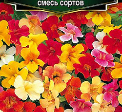 Мимулюс Пламенное сердце F1 (смесь сортов)