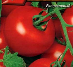 Томат Союз-8 F1