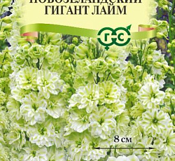 Дельфиниум супермахровый Новозеландский гигант лайм