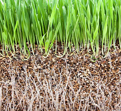 Вермикулит, 2 л