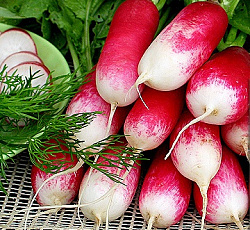 Редис Ажур F1