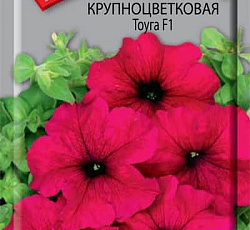 Петуния Крупноцветковая Тоуга F1