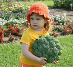 Капуста Брокколи Русский размер F1