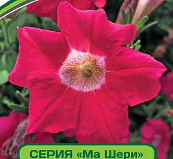 Петуния Ма Шери Сара F1 многоцветковая полуампельная