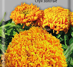 Бархатцы прямостоячие Спун золотые