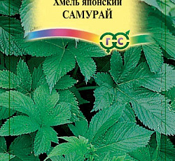 Хмель японский Самурай