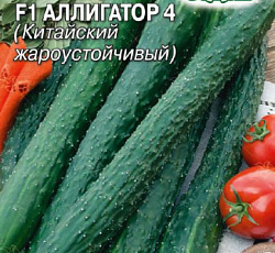Огурец Аллигатор 4 F1
