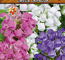 Черноголовка Морской бриз (смесь окрасок)