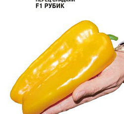 Перец сладкий Рубик F1