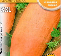 Кабачок Зимний Русский размер