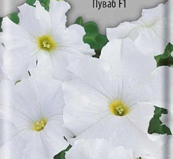 Петуния крупноцветковая Пуваб F1