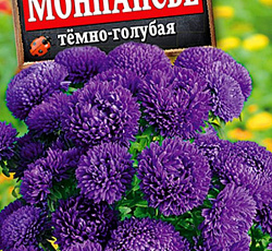 Астра Монпансье темно-голубая