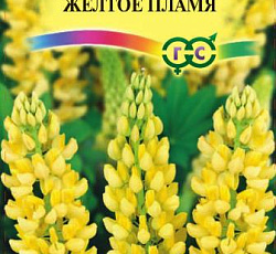 Люпин Желтое пламя