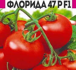 Томат Флорида 47 Р F1