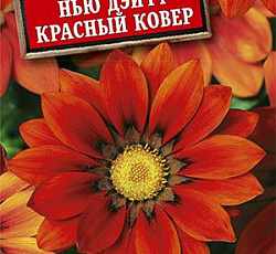 Гацания Нью Дэй F1 Красный ковер