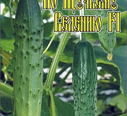 Огурец По щучьему велению F1