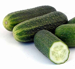 Огурец Отелло F1