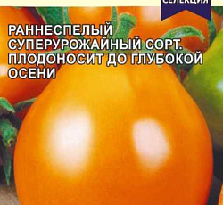 Томат Патрикеевна