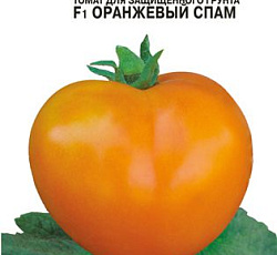 Томат Оранжевый спам F1